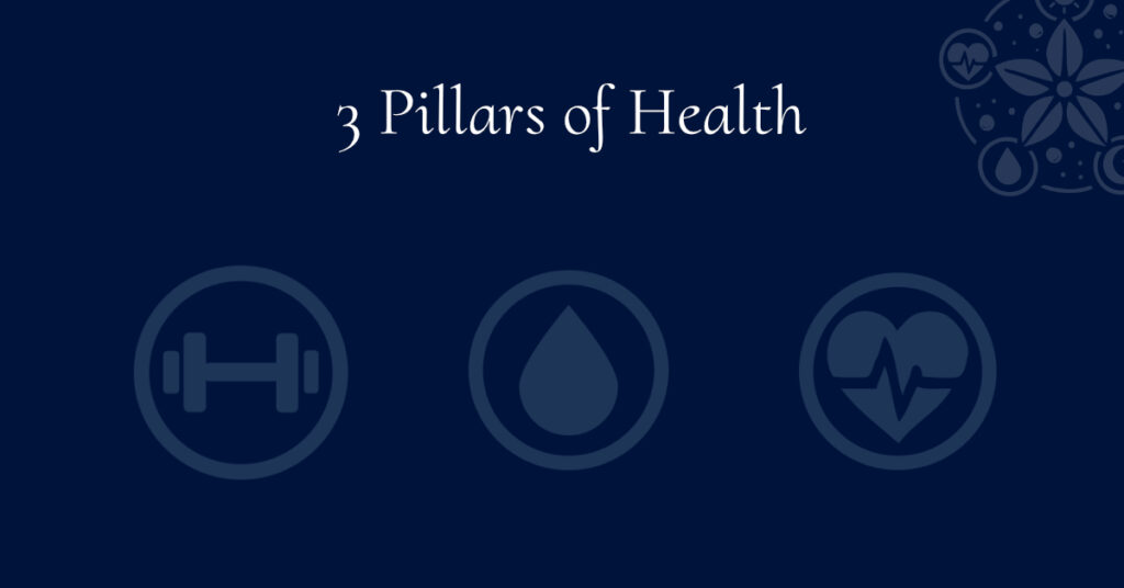 3 pillars of health