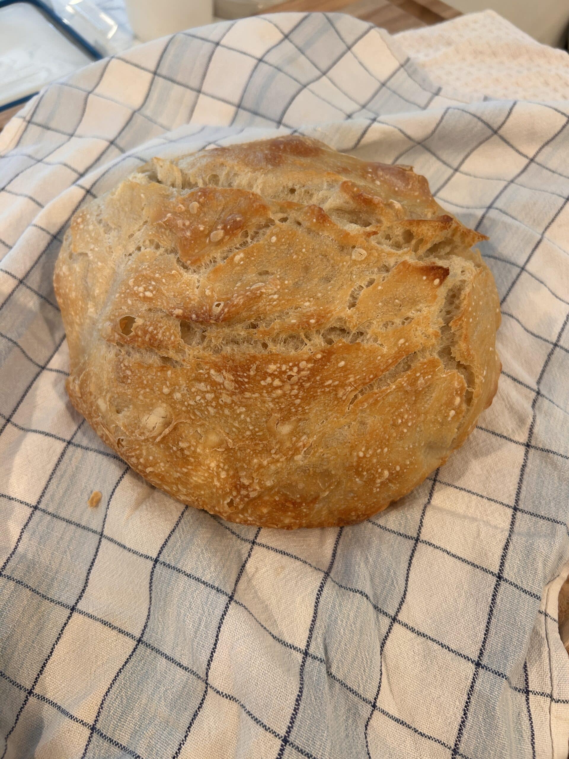 Sourdough Bread (w / Rye)